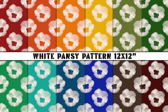 White Pansy Pattern for Creative Spaces